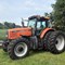 haycreek-livestock-farms---inventory-reduction-auction-image-6
