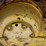 caterpillar-d6-image-20