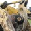 komatsu-wa500-image-18