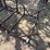 3--steel-cradles---5’x3’-each-image-2