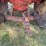 massey-ferguson-44-image-31