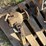 new-holland-256-image-1