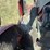 farmall-1566-turbo-image-61