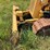 caterpillar-d3-image-8