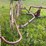 #2613-•-(10)-wheel-v-rake-image-9