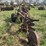 massey-ferguson-12-image-6