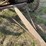 altman-taylor-threshing-machine-image-6