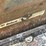 caterpillar-262b-image-12