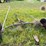 #2616-•-8"-x-27'-hutch-auger-with-(2)-wheel-auger-caddie-with-winch-image-4