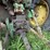 john-deere-4450-image-15