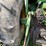 john-deere-4630-image-11