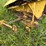 new-holland-s717-image-50