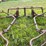 #2613-•-(10)-wheel-v-rake-image-10