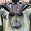 2011-honda-trx420fm-image-64