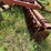 #2648-•-krause-20'-wing-disc-image-27