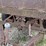 homemade-dump-trailer-image-8
