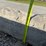 #96-•-2-precast-stones-image-2