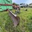 john-deere-542-image-2