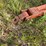 #2648-•-krause-20'-wing-disc-image-24
