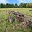 #2651-•-john-deere-(3)-bottom-plow-image-6