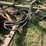 john-deere-220-image-37