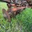 #2608-•-glencoe-(9)-shank-disc-chisel-image-12