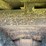 reo-truck---has-title!-image-73