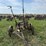case-three-bottom-14”-pull-type-plow-image-8