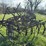 horse-drawn-cultivator-image-6