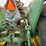 john-deere-5020-image-13