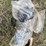 huber-b-image-4