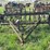 ihc-7ft-field-cultivator-image-8