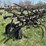 four-shank-field-cultivator-image-6