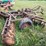 #2645-•-krause-10'-disc-image-3