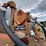 #2592-•-550-gallon-diesel-tank-image-9