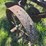 oliver-four-bottom-plow-image-18