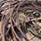 unknown-unknown-image-5
