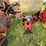 case-ih-400-image-23