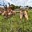 new-holland-s717-image-45