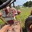 #2567-•-mccormick-farmall-560-gas-tractor-image-21