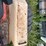 #2566-•-case-730-gas-wide-front-tractor-image-34