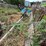 #2591-•-(4)-sections-of-j-bunk-image-6