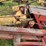 new-holland-s717-image-12