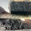 #51555-•-2012-honda-accord-sedan-1hgcp3f87ca028031-inv#51555-image-17