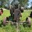 case-bale-press-image-2