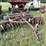 #2645-•-krause-10'-disc-image-2