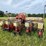 case-ih-400-image-7