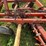 #2648-•-krause-20'-wing-disc-image-31