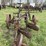 case-two-bottom-14”-pull-type-plow-image-4