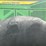 deere-748l-image-90